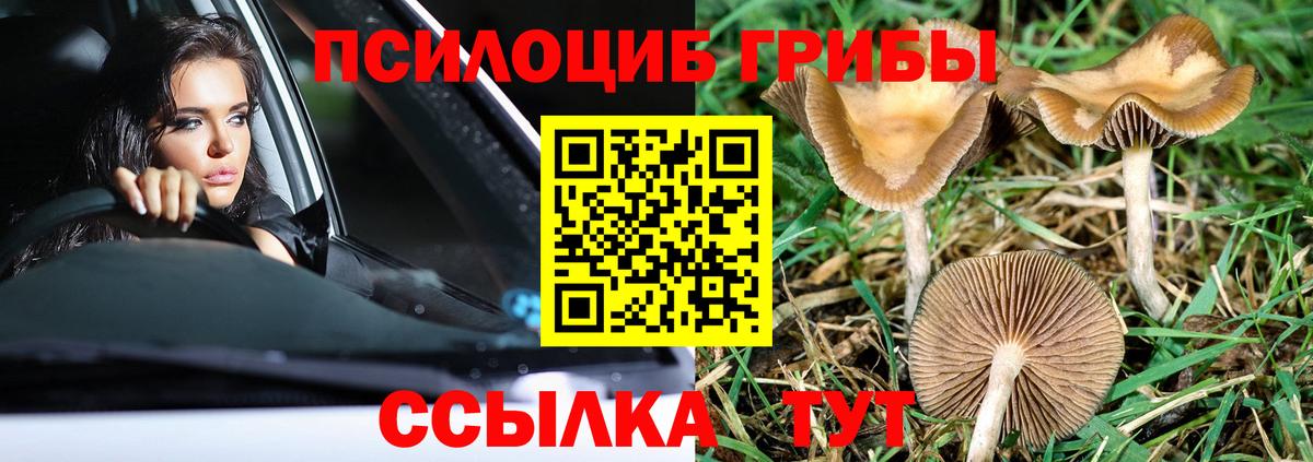 Галлюциногенные грибы мицелий  Вход с VPN  Алейск 