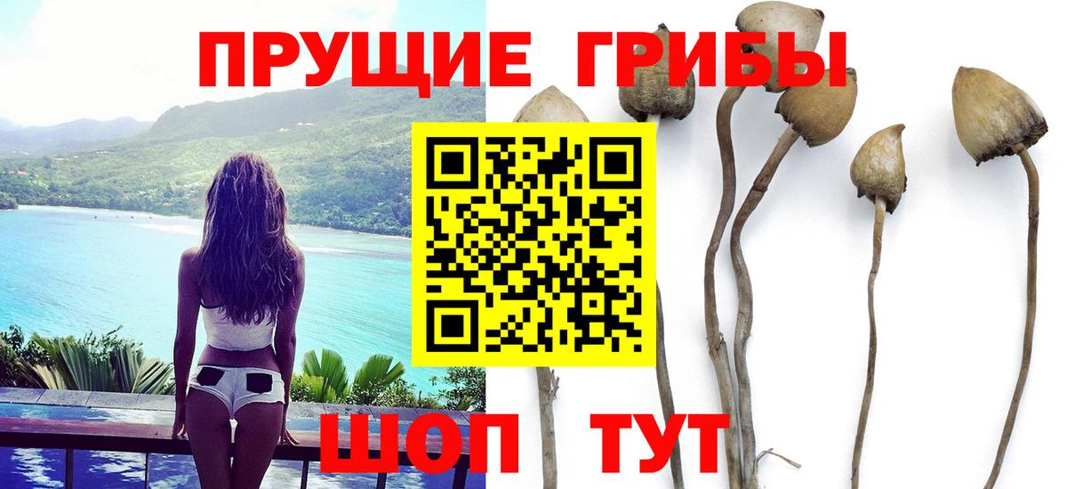 Псилоцибиновые грибы ЛСД Алейск